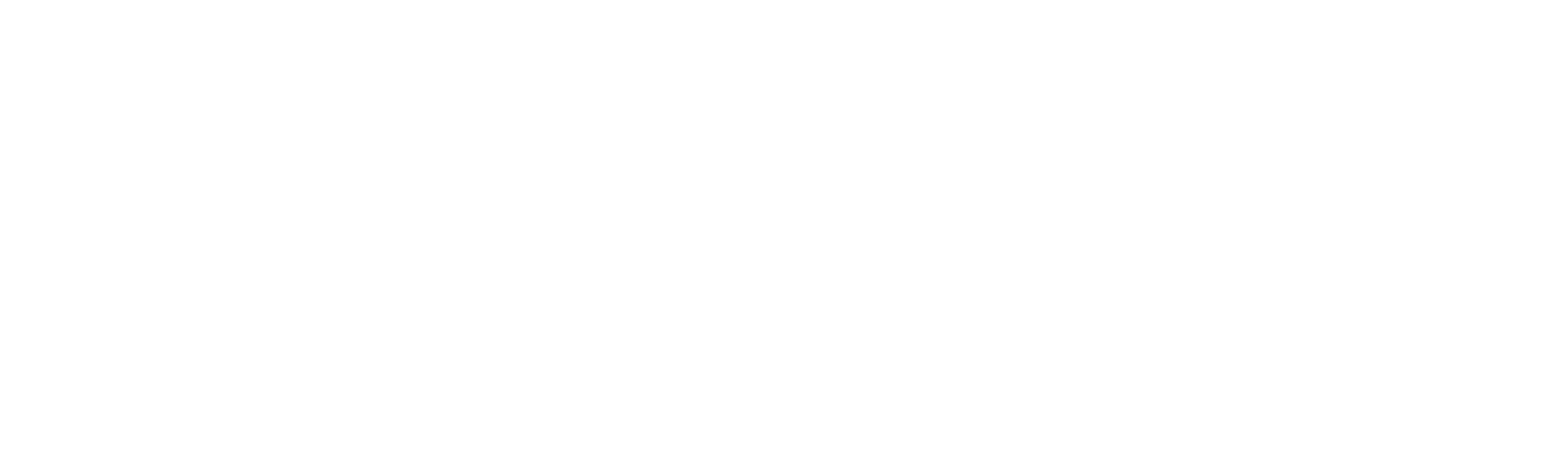 Lauterbach Logo WeißText LAUTERBACH+PARTNER Logo
